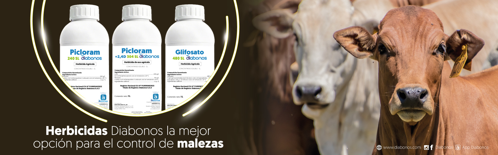 Galería Diabonos