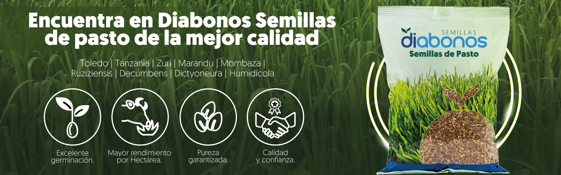 Galería Diabonos
